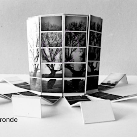 Poulpe-vue-de-face©viearonde-isabelle-vandromme-1988-1